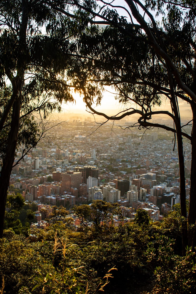 premium photo 1754269274228 71091fe01187